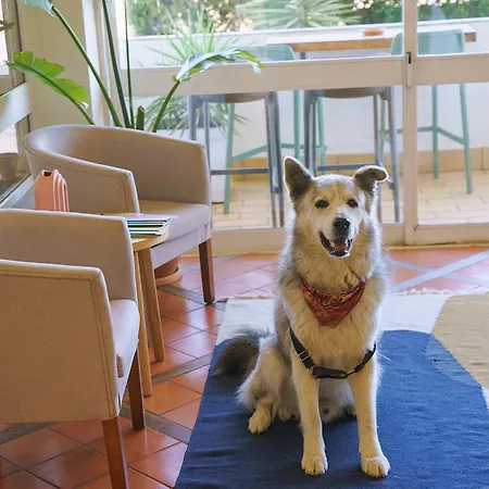 Wot Montemar Soul Hotel 3*