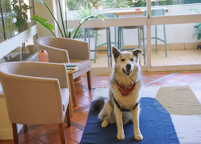 Wot Montemar Soul 3* Lagos