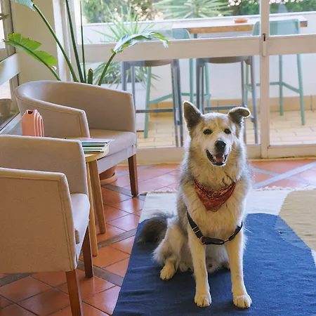 Wot Montemar Soul 3* Lagos